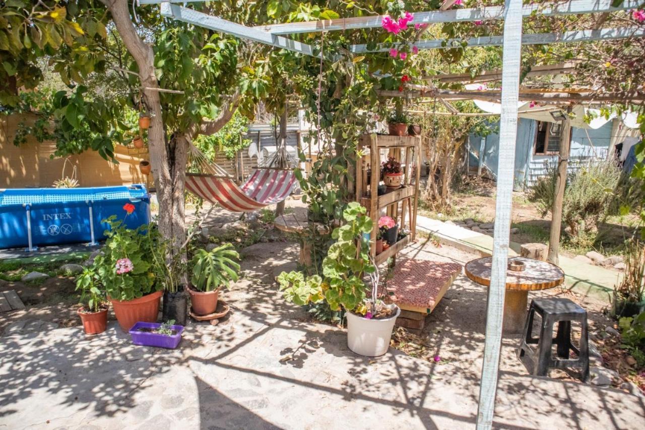 La Huerta Vicuña Exterior foto